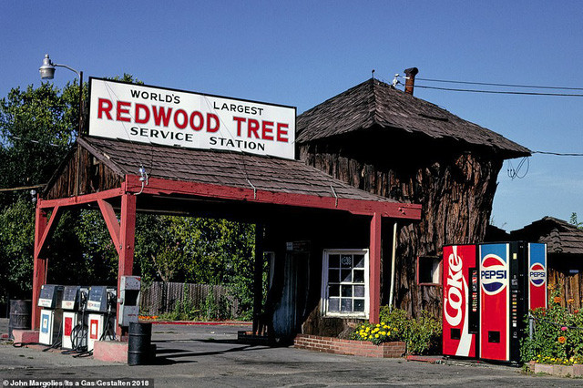 Trạm dịch vụ Redwood Tree ở Ukiah, California (Mỹ) được xây dựng gắn liền với gốc cây 1.500 tuổi. Ngày nay, nơi đây giờ đã trở thành một bảo tàng. Ảnh: Dailymail.
