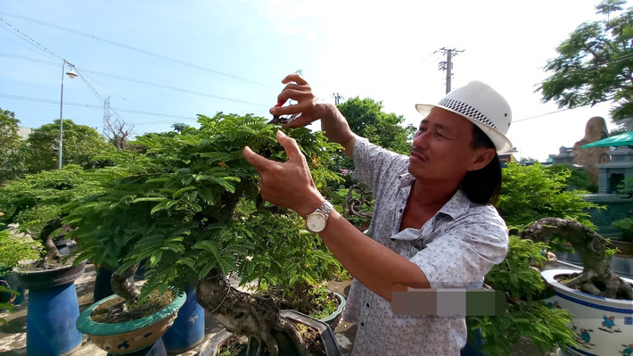 Hơn 30 năm qua, ông Bùi Quốc Nam đã lặn lội khắp nơi để săn lùng phôi kiểng thiên nhiên, mang về chăm sóc, tạo dáng. Ảnh: Dân Việt