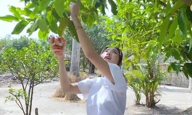Ngoài ra, ca sĩ Minh Hằng còn sở hữu một khu đất rộng 20.000m2 chỉ để làm nơi nghỉ dưỡng cho gia đình tại Đồng Nai.