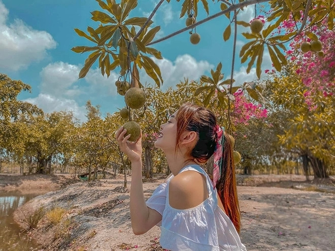 Tại đây, nữ ca sĩ trồng nhiều rau củ, cây ăn trái như dừa, mận, bầu, bí, nha đam...Nguồn ảnh: FBNV