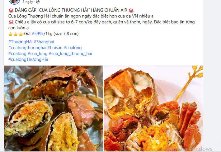 Thời gian gần đây, trên chợ mạng xuất hiện nhiều người bán cua lông Thượng Hải với giá bình dân khiến khách hàng không khỏi giật mình.