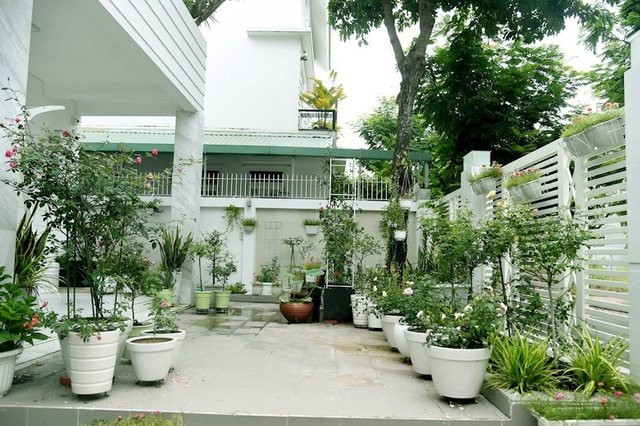 Khoảng sân phía trước đặt nhiều chậu cây và hoa đẹp mắt.