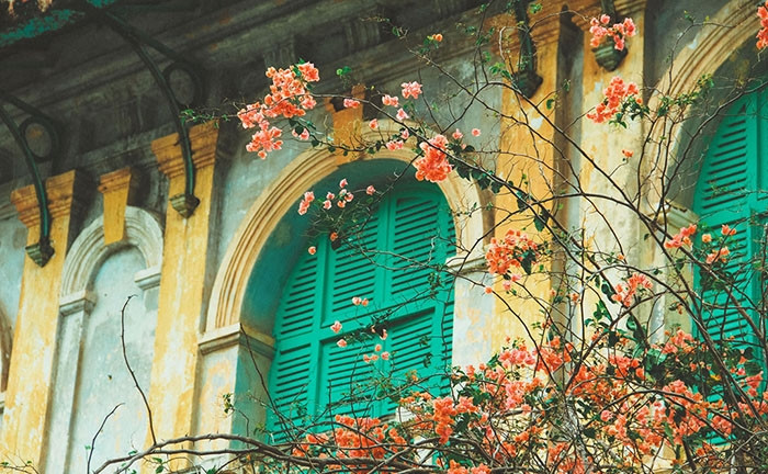 Khung cảnh hoài cổ, nên thơ của Dinh tỉnh trưởng Gò Công. Ảnh: Dulichmientay