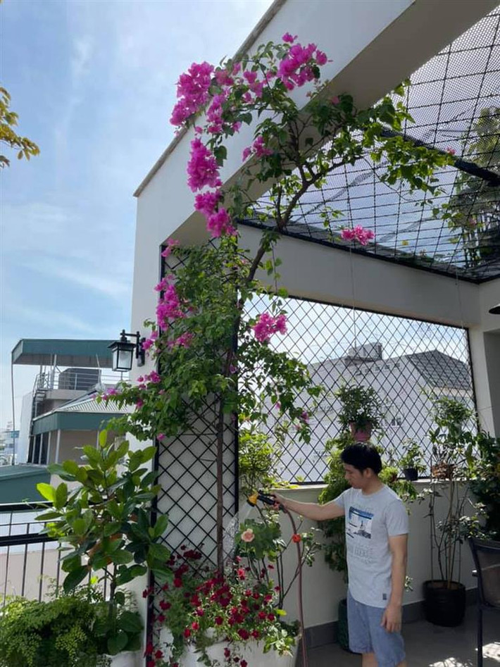 Trọng Tấn thích không gian sống nhiều cây và vật nuôi. Vì thế, trong ngôi nhà phố có diện tích hơn 120m2 ở Hà Nội, nam ca sĩ dành tới hơn một nửa để làm sân vườn, tiểu cảnh.
