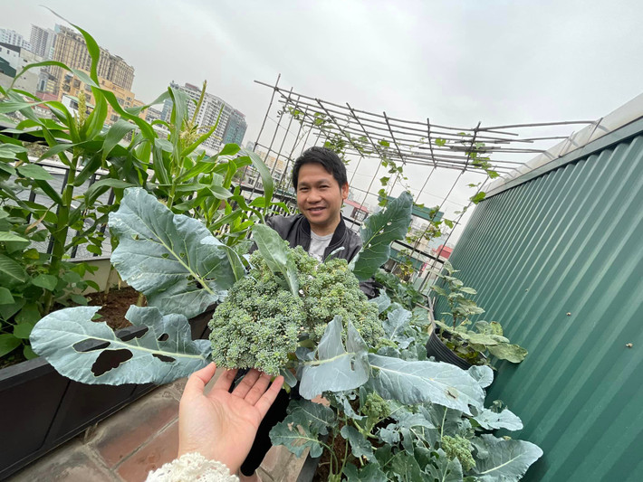 Trên sân thượng, gia đình nam ca sĩ vừa trồng hoa, vừa trồng rau sạch phục vụ nhu cầu của gia đình.
