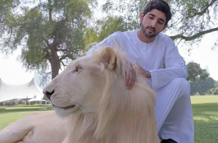 Ngoài khối tài sản đồ sộ, thái tử Dubai Fazza còn sở hữu bộ sưu tập thú cưng độc nhất vô nhị khiến nhiều người phải kinh ngạc, bao gồm chim ưng, hổ, voi, sư tử trắng, lạc đà, chim công... Ảnh: FBNV