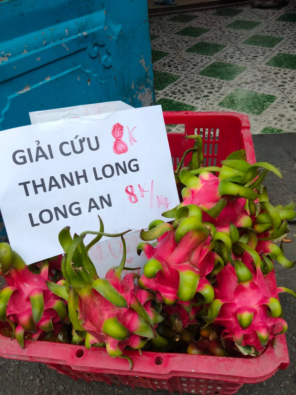 Ở nước ta, thanh long giá bán chỉ vài chục ngàn đồng/kg. Thậm chí có thời điểm thanh long quá nhiều không ai mua, giá còn xuống mức chỉ vài ngàn đồng/kg. Ảnh: Cand