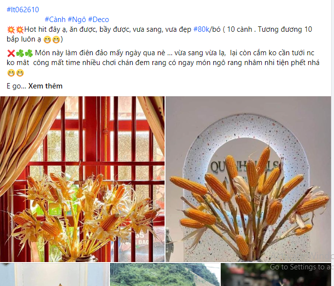 Trên chợ mạng, người dùng chỉ cần tra cụm từ “cành bắp ngô” hoặc "cây ngô cắm bình" là sẽ thấy được hàng loạt các bài đăng bán. Ảnh chụp màn hình