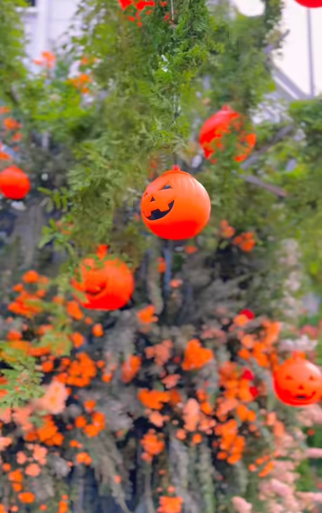 Biệt thự của Đoàn Di Băng gồm 3 tầng có tổng diện tích 450 m2. Chuẩn bị đón Halloween, vợ chồng Đoàn Di Băng bỏ tiền thuê người trang trí cho không gian thêm sinh động.