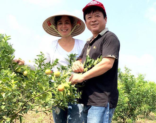Trong khu vườn, gia đình nữ nghệ sĩ còn trồng rất nhiều loại cây ăn trái như: Bưởi, cam, mít, ổi, lê, táo... Ảnh: FBNV