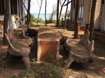 Chiếc bàn được chủ nhân khu resort đúc cách điệu dưới những tán cây dương xanh um tùm, giờ cũng trong cảnh không ai vệ sinh, phủ lớp lá dày theo năm tháng. Ảnh: Lao Động.