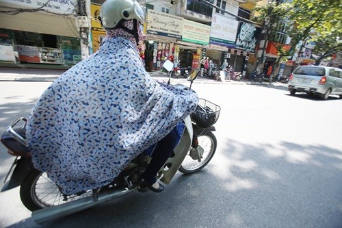 Ninja chính hiệu..