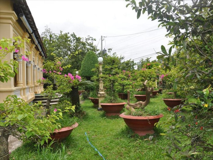 Ngôi nhà nằm lọt thỏm giữa khuôn viên rộng lớn, được bao quanh bởi vườn cây cảnh và vườn cây ăn trái. Ảnh: Mia