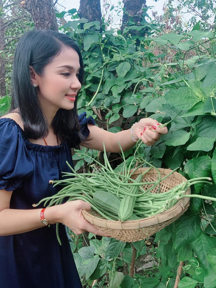 Các loại rau quen thuộc và nhiều chất bổ dưỡng cũng được trồng. Ảnh: FBNV