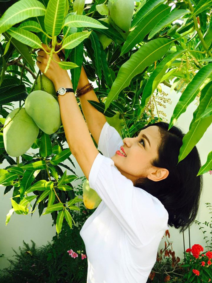 Cây nào cũng cho trái sai lúc lỉu. Ảnh: FBNV