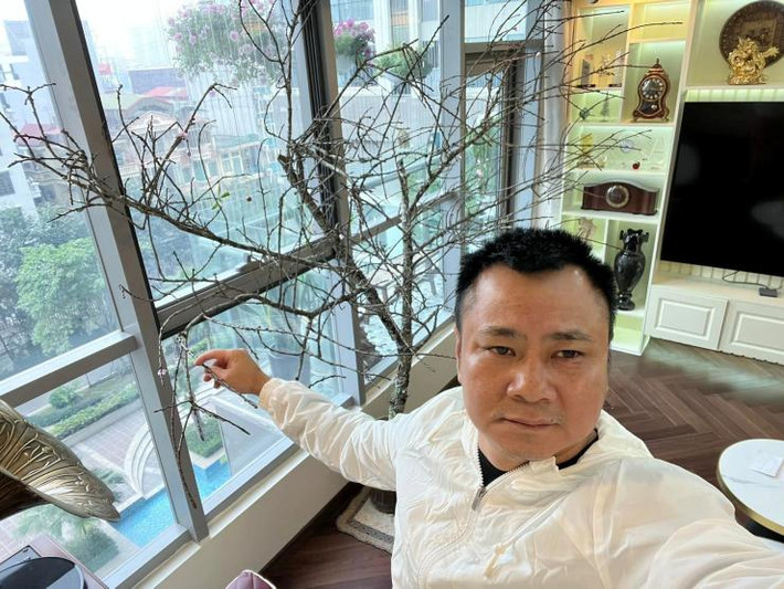Nghệ sĩ Tự Long khoe không gian nhà mới tràn ngập không khí Tết với cành đào lớn. Nguồn ảnh: FBNV