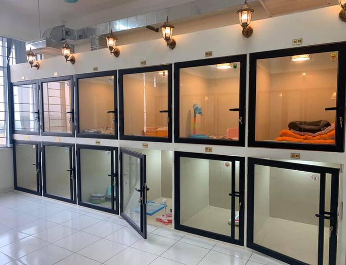 Khách hàng đặt phòng sớm cũng có mức giá rẻ hơn so với người đặt sát ngày Tết. Ảnh: Zing