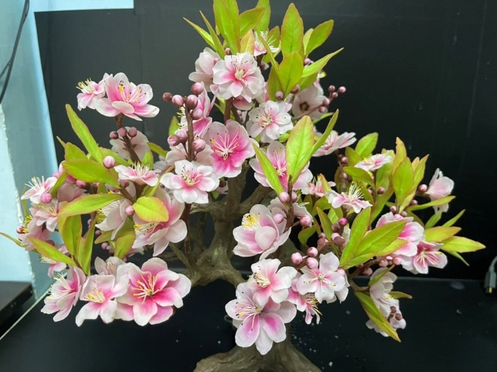 Theo đó, các chậu bonsai có kích thước nhỏ, từ 30cm đến 90cm được rất nhiều người ưa chuộng. Ảnh: Người đưa tin