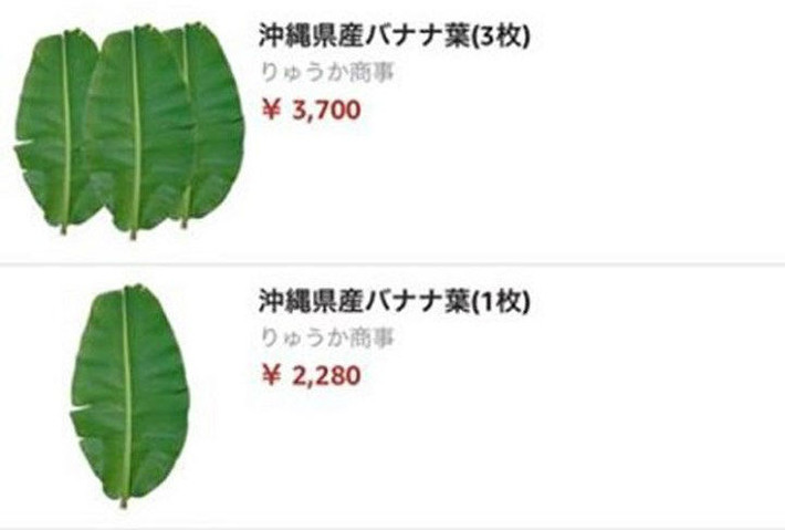 Nếu mua 2 lá giá chỉ còn 1.980 yên/lá (tương đương 400.000 đồng). Ảnh: Amazon.