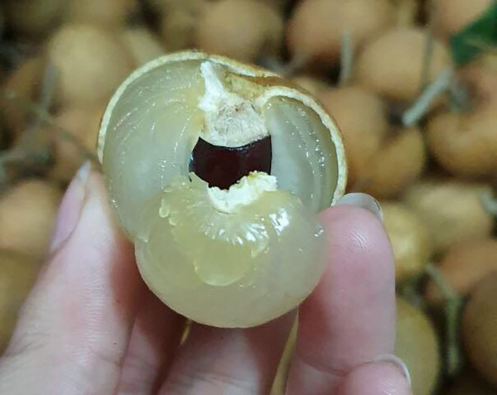 Đặc biệt, có nơi bán tới 240.000 đồng/kg, đắt gấp 5 lần giá nhãn lồng. Ảnh: Vietnamnet.