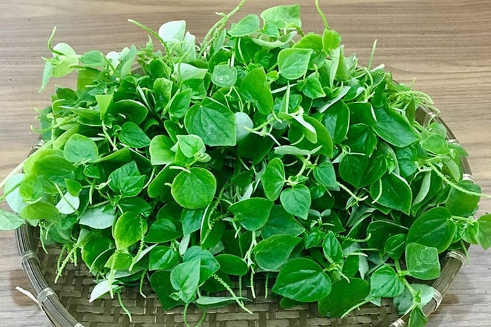 Rau càng cua là loại thực vật mọc dại đầy vườn nhà, xưa kia được ví như "nhân sâm của người nghèo" nhưng nay bất ngờ trở thành siêu thực phẩm được săn lùng với giá cao ngất ngưởng. Ảnh: Internet