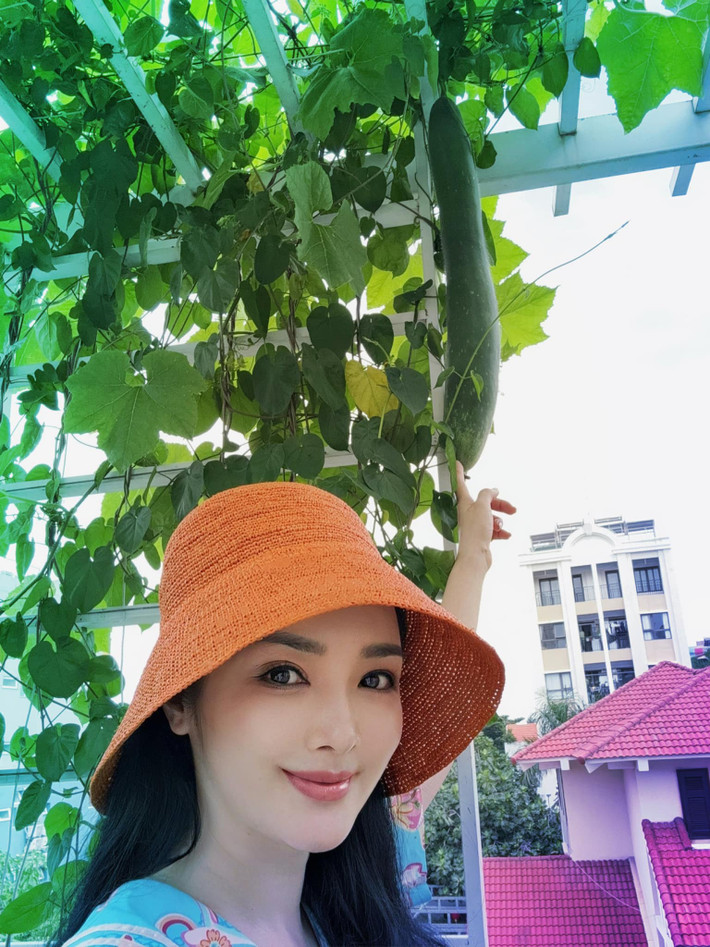 Trên sân thượng, Hoa hậu Giáng My còn trồng nhiều loại rau xanh, cây ăn trái và hoa.
