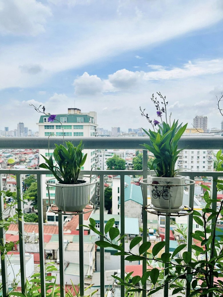 Tại khu vực ban công, BTV Hoàng Trang đặt những chậu hoa lan đang trổ bông tím nên thơ. Nguồn ảnh: FBNV