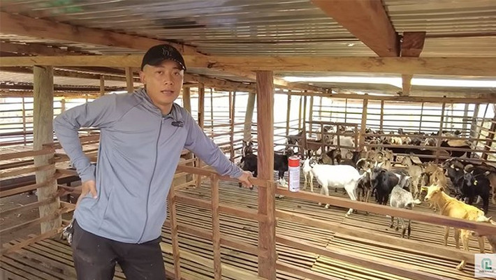 Tại đây, Quang Linh Vlogs trồng ngô, trồng dưa, khoai tây, nuôi dê, đào ao thả cá...