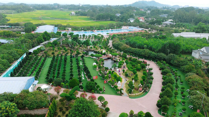 Đại gia Lê Văn Dũng được biết đến là tay chơi cây cảnh có tiếng ở Việt Nam với khả năng "chốt đơn" đỉnh cao. Ảnh chụp màn hình Độc lạ Bình Dương