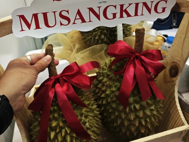 Thời gian gần đây tại TP HCM, giá bán lẻ sầu riêng Musang King, vốn được mệnh danh là vua của các loại sầu riêng, đang có xu hướng giảm. Ảnh: Người lao động