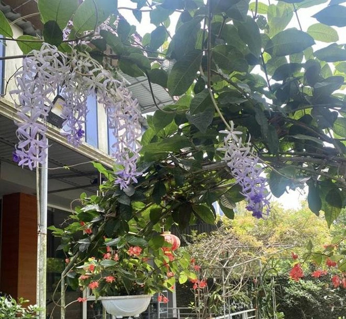 Gia trang được thiết kế với các phòng lớn có tường kính, tạo điều kiện cho ánh sáng tự nhiên và tầm nhìn rộng lớn. Ảnh: FB Thanh Hoa Nguyen