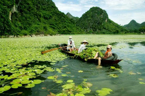 Hồ súng trắng tại Quan Sơn (Chương Mỹ, Hà Nội) vào mùa nước lên cũng khiến bạn phải mê mẩn. Chi phí cho chuyến đi đến đây khoảng 300.000 đồng/người, trong đó, chi phí chèo thuyền ngắm cảnh, chụp ảnh dao động trên 120.000 đồng/thuyền (chở 5 người).