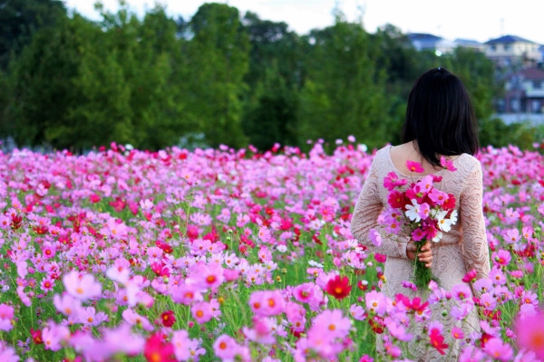 Vườn hoa cánh bướm ngay gần vườn bách nhật cũng là điểm chụp ảnh thu hút các bạn trẻ.