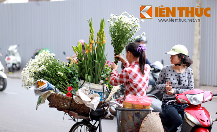 Giá mỗi bó cúc họa mi nhỏ nhắn dao động từ 40.000 đồng.