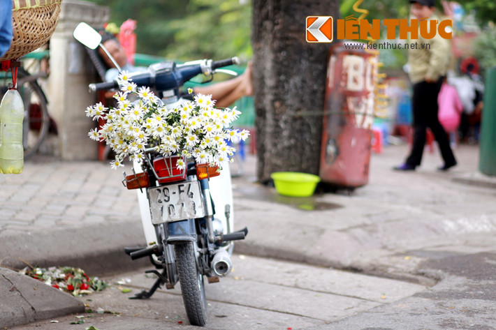 Một chút lãng mạn cho khách mua cúc họa mi, đón chờ những ngày đông đang sắp đến.