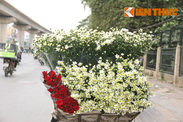 Cúc họa mi tên tiếng Anh là Daisy bắt nguồn từ một từ Saxon, day's eye, có nghĩa là "con mắt ban ngày".