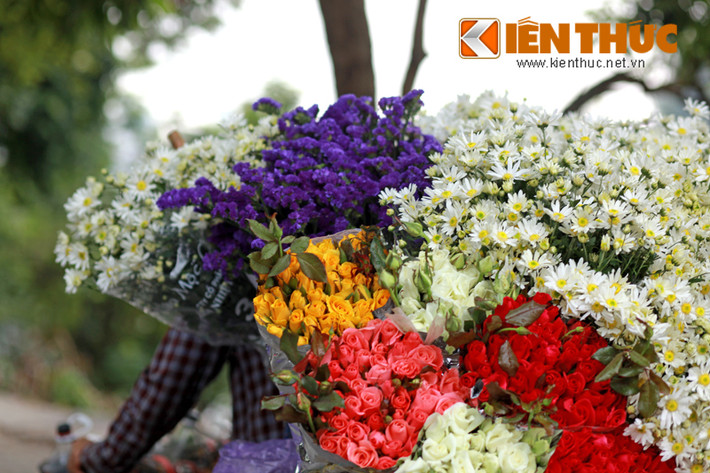 Những ngày này, trên đường phố Hà Nội, cúc họa mi đã được bán rất nhiều.