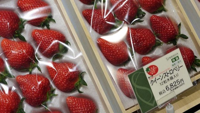 Dâu tây Semikiya Queen – 85 USD (1,9 triệu đồng)/12 quả. Những quả dâu tây Semikiya được đánh giá là những quả dâu tây “đẹp nhất thế giới”.