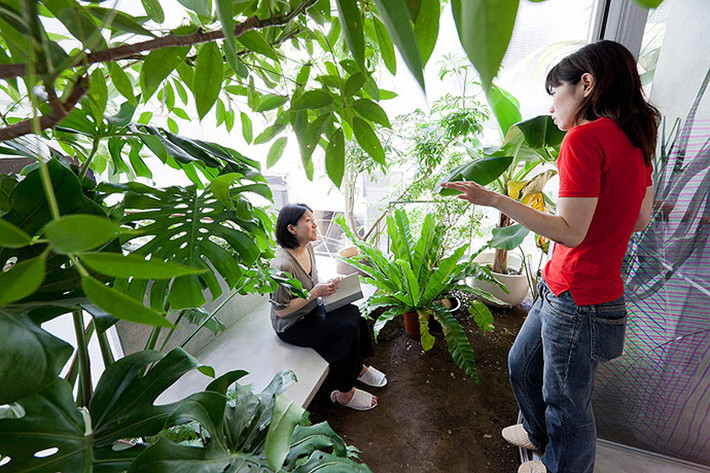 Đặc biệt, vườn tầng 2 còn là khoảng đất nén thô sơ.