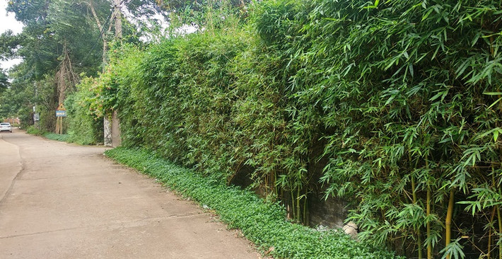 Như vậy, biệt thự gia đình ca sĩ Mỹ Linh không nằm trong diện tổ chức cưỡng chế ngay lần này. Ảnh: Dân Việt.