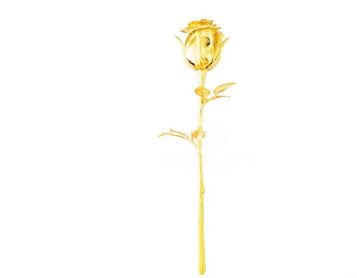 Những bông hồng mạ vàng đơn giản hơn thì có giá khoảng 2 triệu đồng. Ảnh: Golden gift.