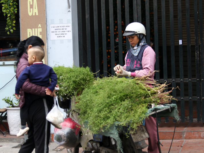 Những ngày cuối năm có thể bắt gặp những xe bán mùi già ở nhiều góc phố hay tại các chợ.