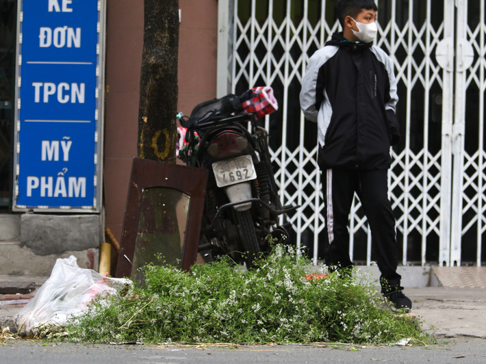 Ngoài ý nghĩa truyền thống, nhiều người thích tắm nước lá mùi vì nó mang lại cảm giác thoải mái, dễ chịu. Đun một nồi nước lá mùi, cả căn nhà cũng trở nên thơm tho hơn, có không khí Tết hơn. Còn theo Đông y, cây mùi còn có tác dụng giảm đau nhức nửa đầu, giảm căng thẳng, làm sạch da…