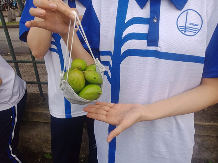 Những quả xoài tuy nhỏ, vị chua và chát nhưng các cô cậu học trò lại luôn cảm thấy ngon miệng.