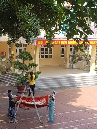 Đơn giản hơn lấy chăn ra để đỡ xoài.