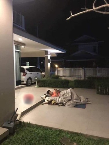 Chỉ vì cãi nhau với vợ mà cả chủ và chó ra sân ngủ.