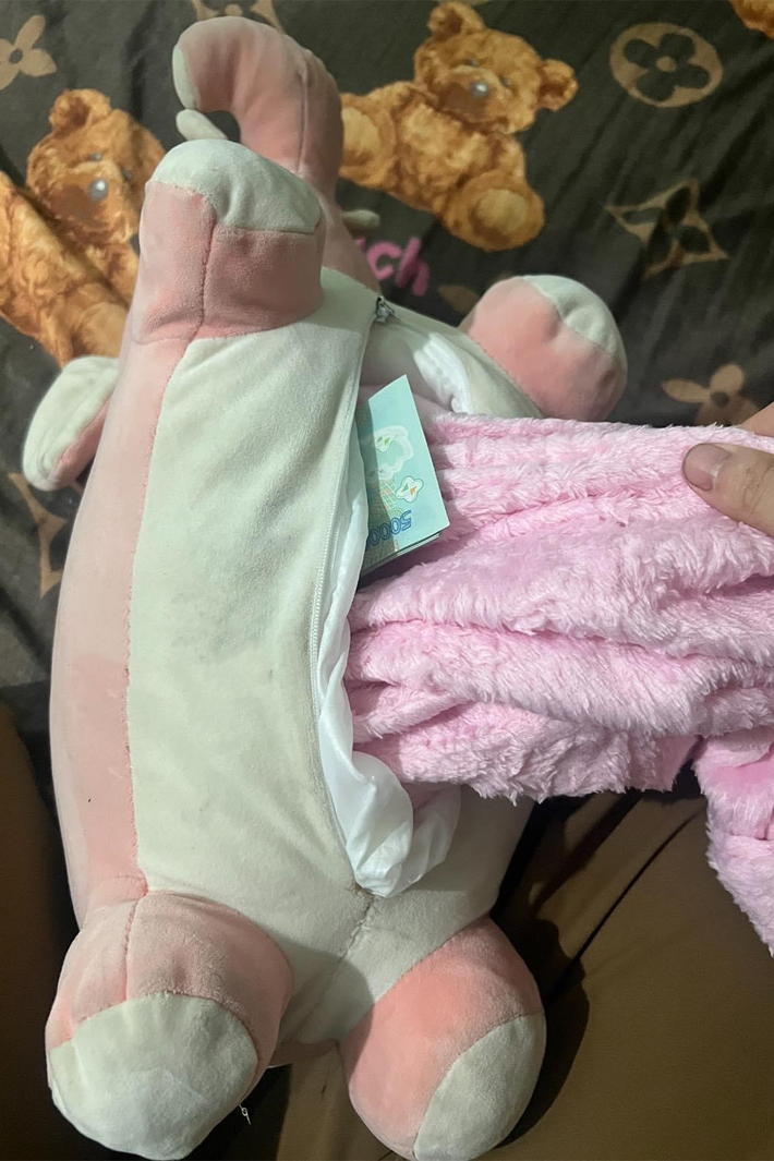 Đó là một chú voi màu hồng có khóa ở bụng. Nhìn hình ảnh được đăng tải có thể thấy chú voi này chính là một bộ chăn gối văn phòng. Chị vợ đã mở khóa dưới bụng chú voi ra xem bên trong như thế nào. Sau khi lôi được chiếc chăn ra ngoài thì những tờ tiền đã chính thức lộ diện khiến người vợ đi từ ngỡ ngàng đến ngơ ngác bật ngửa.