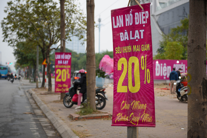 Xả nhẹ thì 20%, 50%... thậm chí còn có cửa hàng còn xả giá nào cũng bán.