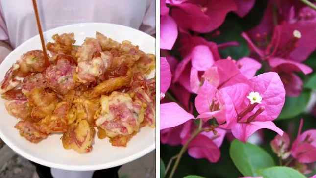 Không chỉ gỏi gà măng cụt, trà mãng cầu, cà phê muối, các món chiên giòn được chế biến từ hoa cũng "lên ngôi", như hoa giấy chiên giòn đang có độ phủ sóng rộng khắp mạng xã hội. Được biết, hoa giấy chiên giòn là món ăn truyền thống của Thái Lan, được bán trong cả những nhà hàng sang trọng lẫn quán ăn vỉa hè.