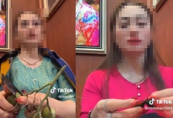 Những ngày qua, trên khắp các trang mạng xã hội, giới trẻ đang thi nhau đua trend “đúng nhận sai cãi” của một cô đồng , với nhiều bình luận, video clip hài hước.